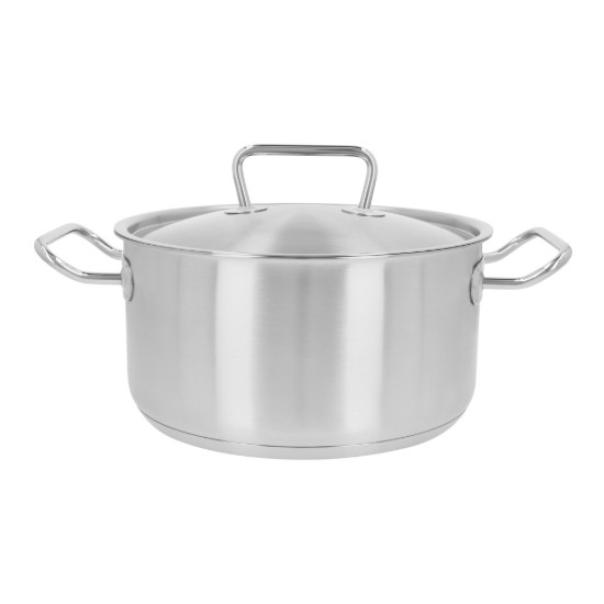 Cratita inox, cu capac, 24cm/6L, "Classic Pro 3" - Demeyere