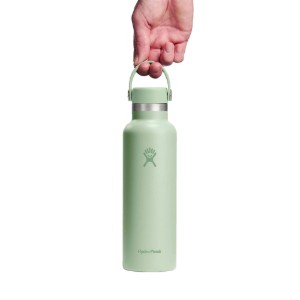 Sticla termos, inox, 620ml, "Standard", Aloe - Hydro Flask