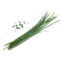Pachet cu seminte "Lingot" cepsoara chinezeasca - Veritable