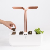 Kit pentru rasaduri Express - Veritable