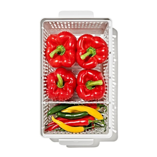 Recipient pentru pastrare legume, plastic, 35,1 x 18,9 x 11,8 cm, "Produce Saver" - OXO