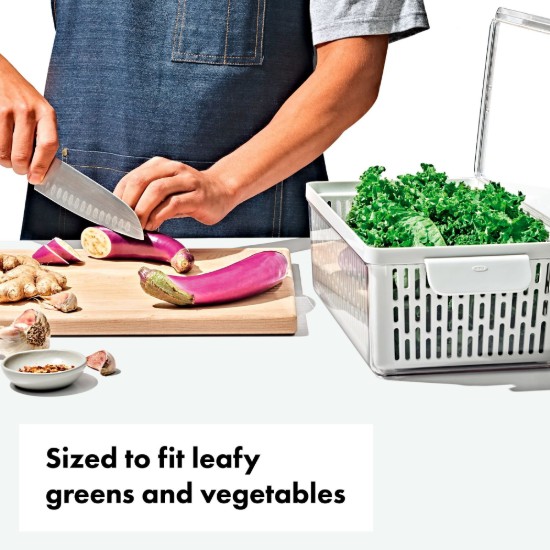 Recipient pentru pastrare legume, plastic, 35,1 x 18,9 x 11,8 cm, "Produce Saver" - OXO
