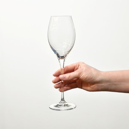 Set 6 pahare Prosecco, sticla cristalina, 300ml, "Harmony" - Krosno