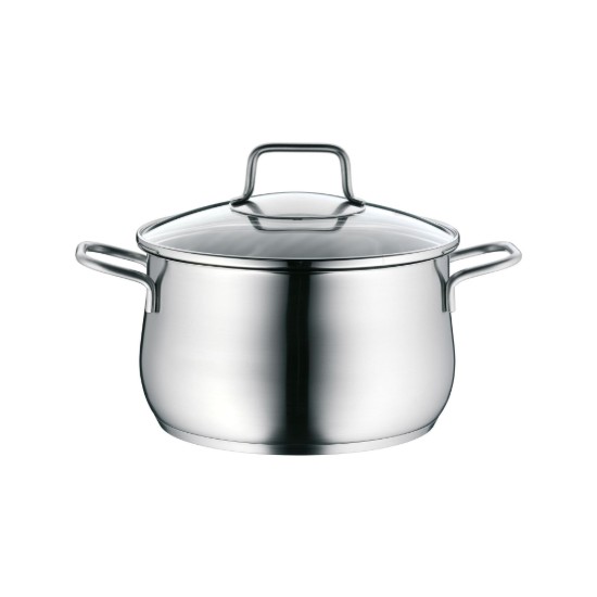 Set oale, 9 piese, otel inoxidabil, "Brillant" - WMF