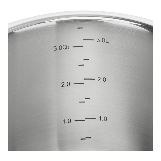 Oala inox, cu capac, 20cm/3,5L, "ZWILLING Pro" - Zwilling