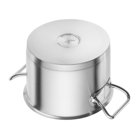 Oala inox, cu capac, 24cm/8,1L, "ZWILLING Pro" - Zwilling