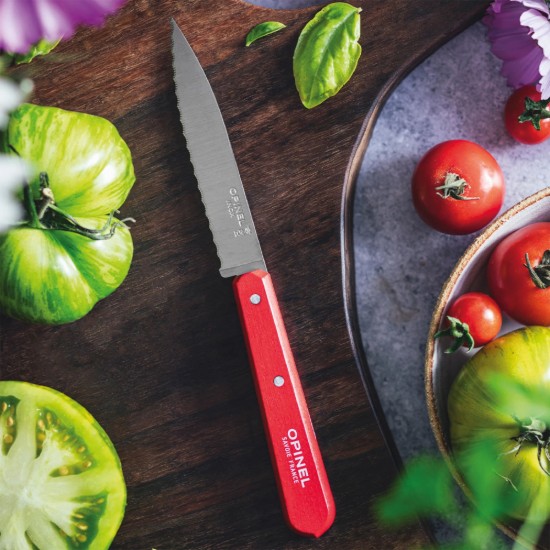 Cutit cu lama serata N°113, inox, 10cm, "Les Essentiels", Red - Opinel
