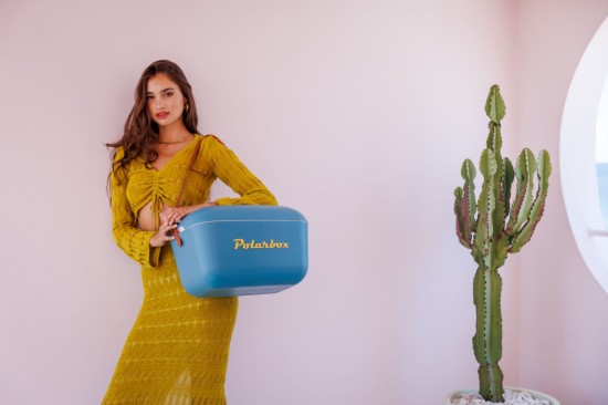 Lada frigorifica, 20L, "Classic", Marine - Mustard - Polarbox