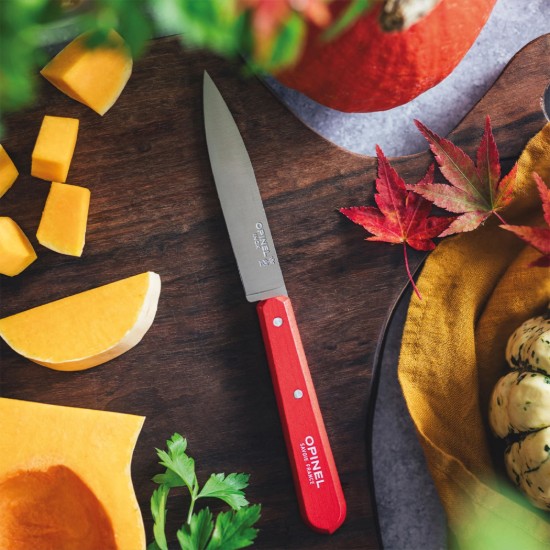 Set cutite N°112, 4 piese, "Les Essentiels", Paysage - Opinel