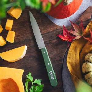 Cutit pentru decojit N°112, inox, 10cm, "Les Essentiels", Green - Opinel