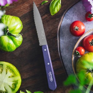 Cutit cu lama serata N°113, inox, 10cm, "Les Essentiels", Purple - Opinel