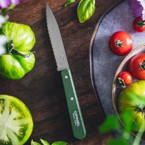 Cutit cu lama serata N°113, inox, 10cm, "Les Essentiels", Green - Opinel