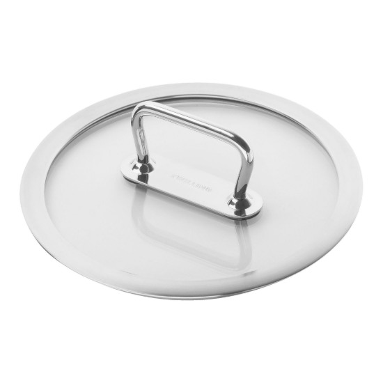 Oala inox, cu capac, 24cm/6,2L, "ZWILLING Pro" - Zwilling