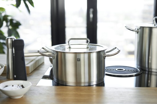 Oala inox, cu capac, 24cm/6,2L, "ZWILLING Pro" - Zwilling