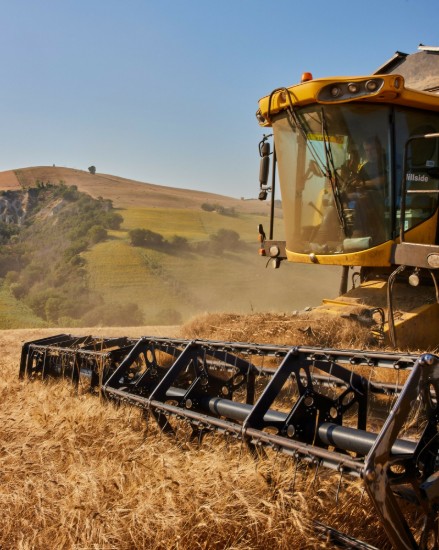 Paste Linguine, 250 g - La Campofilone