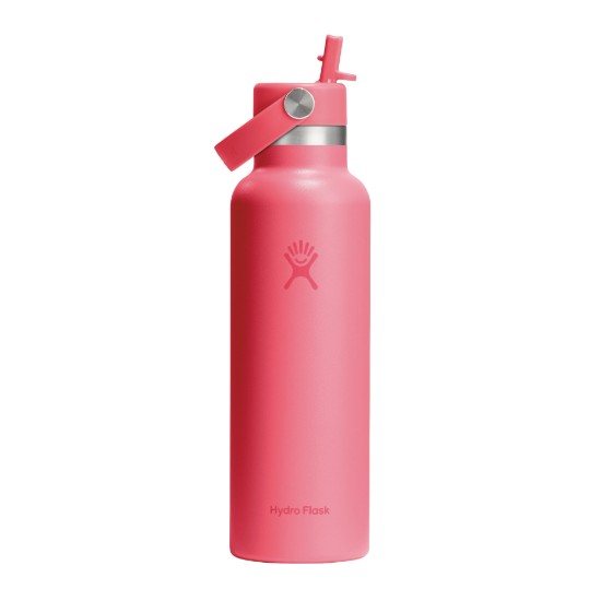 Sticla termos, inox, 620ml, "Standard Straw", Popstar Pink - Hydro Flask