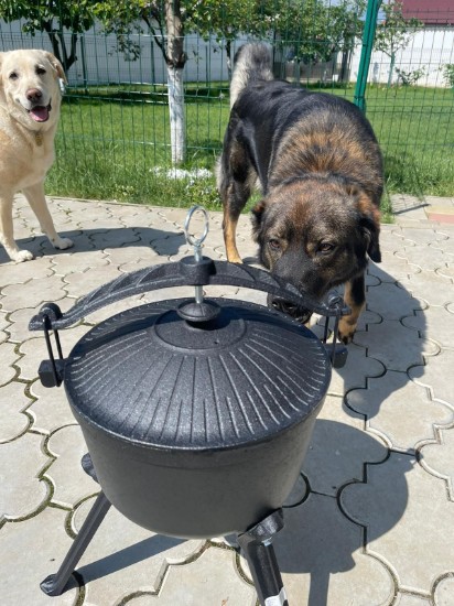 Ceaun vanatoresc din fonta cu capac 7,5 litri Activa 19906