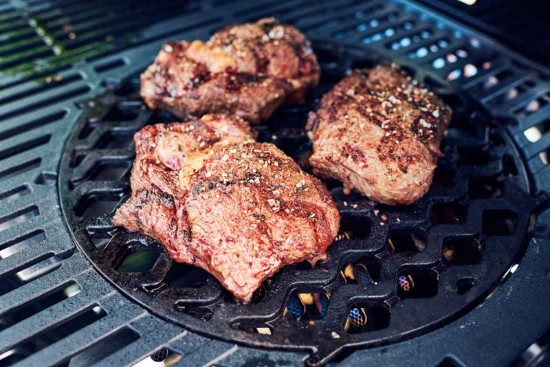 Grila rotunda tip searing pentru sistemul culinar modular Enders 7791