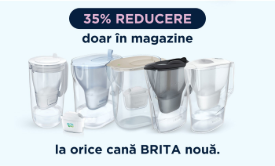 Imagine pentru categoria Brita cana old and new