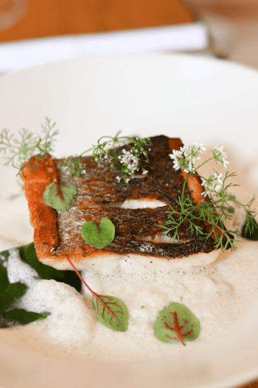 Ulei de măsline extravirgin sticlă mare 1.75 l ℮, Estoublon, Franța