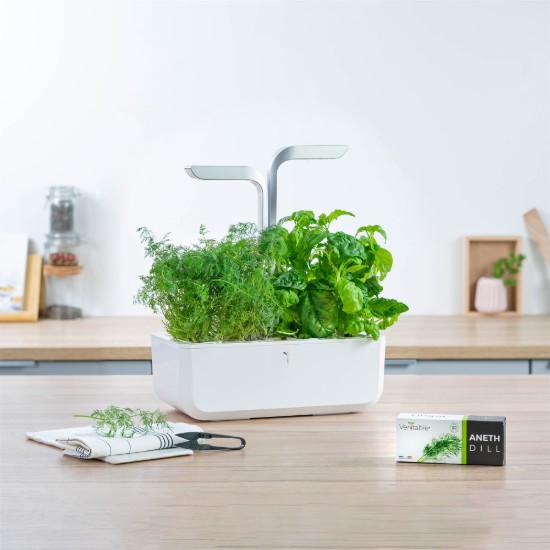 Pachet cu seminte "Lingot" marar - Veritable