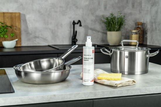 Spray curatare inox, 250ml, "ZWILLING Plus" - Zwilling