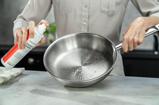 Spray curatare inox, 250ml, "ZWILLING Plus" - Zwilling