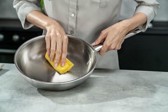 Spray curatare inox, 250ml, "ZWILLING Plus" - Zwilling