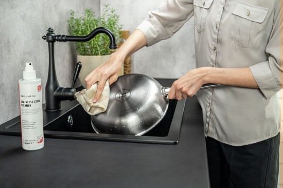 Spray curatare inox, 250ml, "ZWILLING Plus" - Zwilling