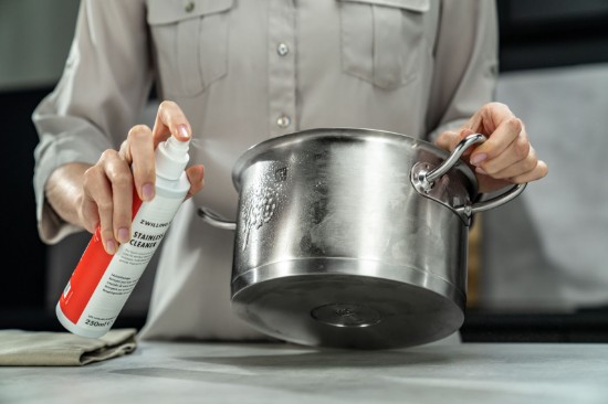 Spray curatare inox, 250ml, "ZWILLING Plus" - Zwilling
