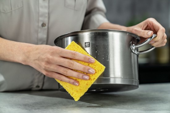 Spray curatare inox, 250ml, "ZWILLING Plus" - Zwilling