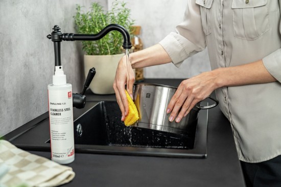 Spray curatare inox, 250ml, "ZWILLING Plus" - Zwilling
