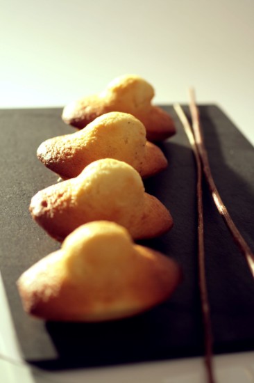 Forma silicon pentru 9 madlene, 30 x 17,6 cm - de Buyer