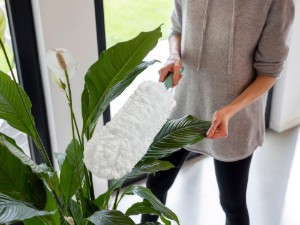 Rezerva pamatuf praf SuperDuster XL - Leifheit