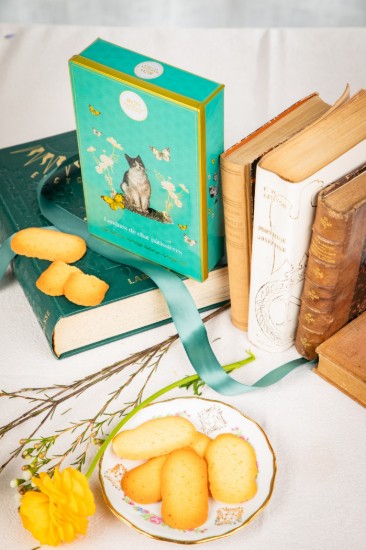 Cutie biscuiti „Langues de Chat”, 160 g ℮, La Sablésienne, Franta