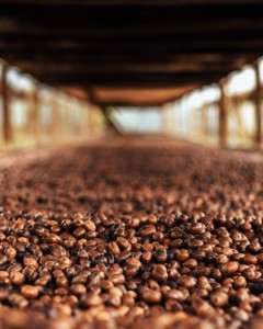 Cafea boabe Costa D”Amalfi Vietri 100% Arabica 250 g ℮