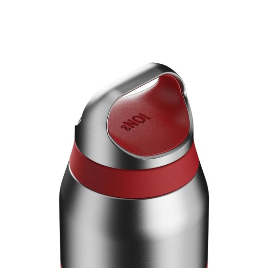 Sticla apa ROAM, inox, 320ml, Red Fire - Ion8