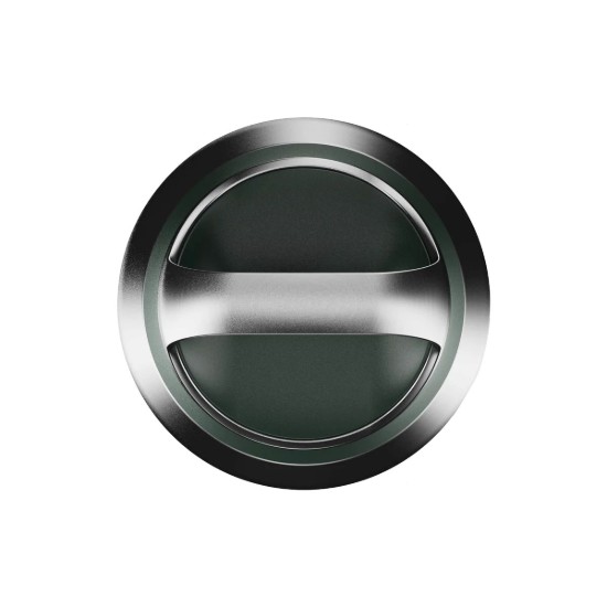 Sticla apa ROAM, inox, 835ml, Forest Green - Ion8