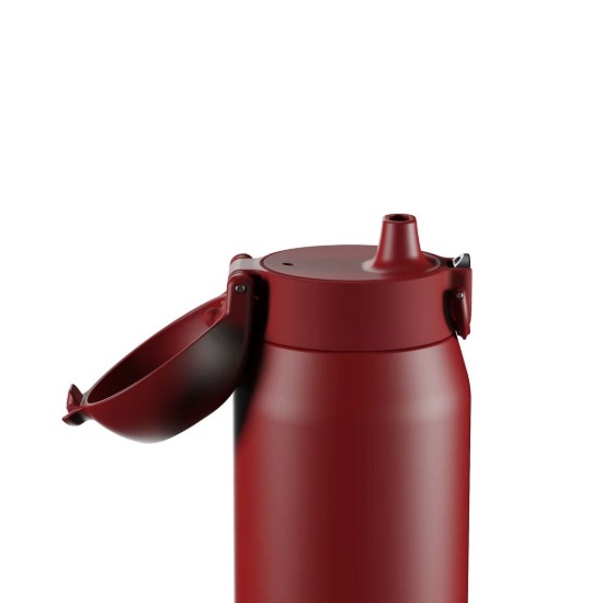 Sticla apa REVIVE, inox, 540ml, Red Fire - Ion8