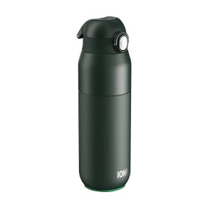 Sticla apa REVIVE, inox, 540ml, Forest Green - Ion8