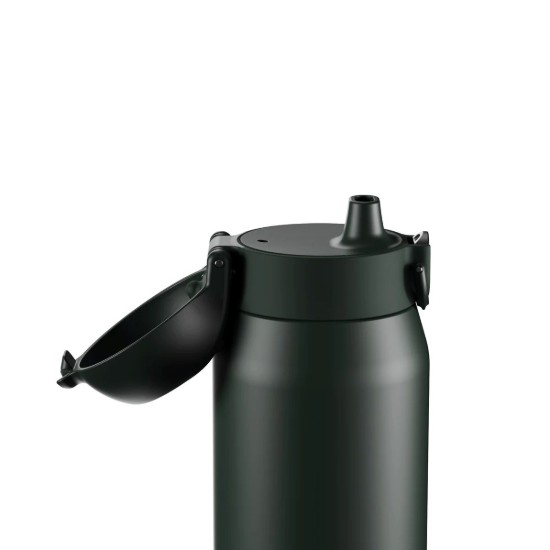 Sticla apa REVIVE, inox, 540ml, Forest Green - Ion8