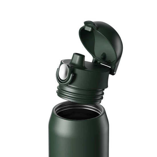 Sticla apa REVIVE, inox, 540ml, Forest Green - Ion8