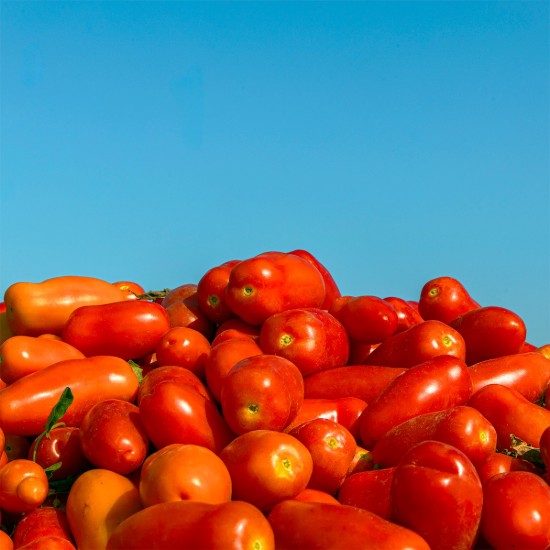 Fileuri de rosii San Marzano PDO Tomatoes din zona Agro Sarnese-Nocerino, 300 g ℮, Casa Marrazzo, Italia