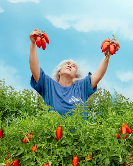 Fileuri de rosii San Marzano PDO Tomatoes din zona Agro Sarnese-Nocerino, 300 g ℮, Casa Marrazzo, Italia