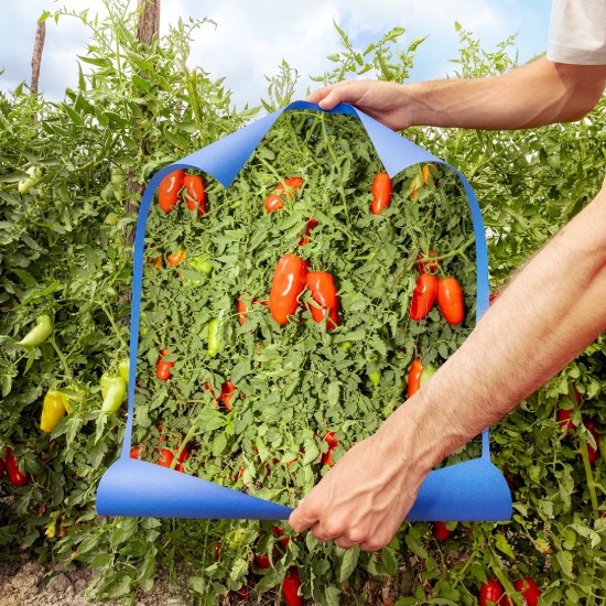 Fileuri de rosii San Marzano PDO Tomatoes din zona Agro Sarnese-Nocerino, 300 g ℮, Casa Marrazzo, Italia
