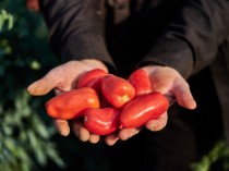 Fileuri de rosii San Marzano PDO Tomatoes din zona Agro Sarnese-Nocerino, 300 g ℮, Casa Marrazzo, Italia