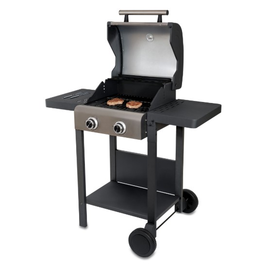 Gratar electric de exterior Buddy, 2600W - Unold