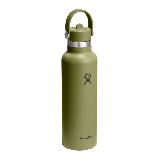 Sticla termos, inox, 620ml, "Standard Straw", Palmer Green - Hydro Flask