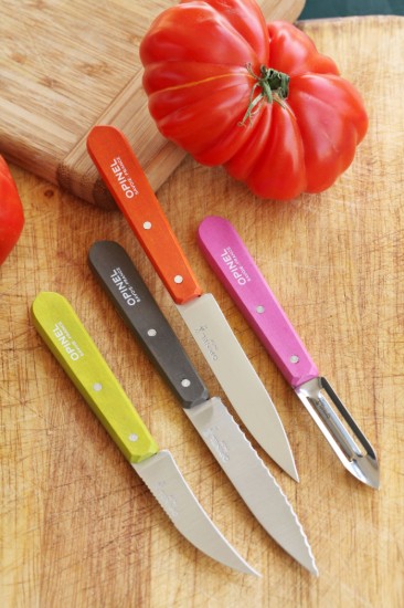 Set cutite, 4 piese, inox, "Les Essentiels" - Opinel