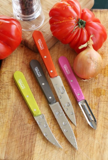 Set cutite, 4 piese, inox, "Les Essentiels" - Opinel